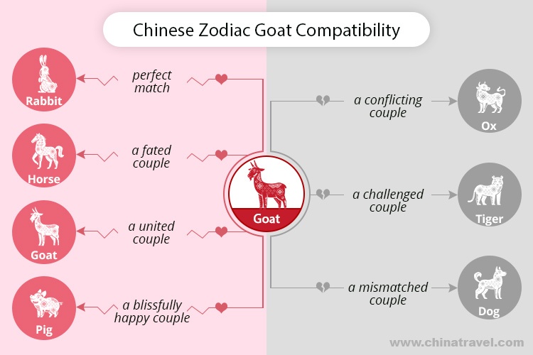 Is Male Goat and Female Dog Compatibility Possible for a Happy Home?