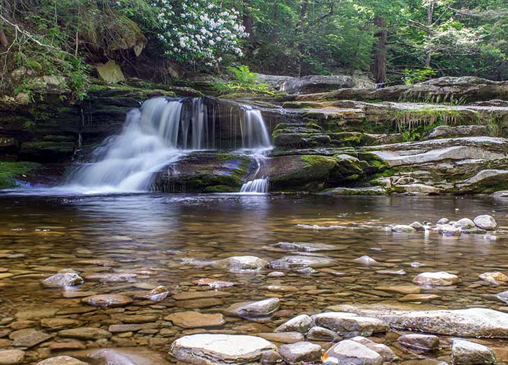 Discover the Best Swimming Holes Around NYC: Natural Pools to Visit