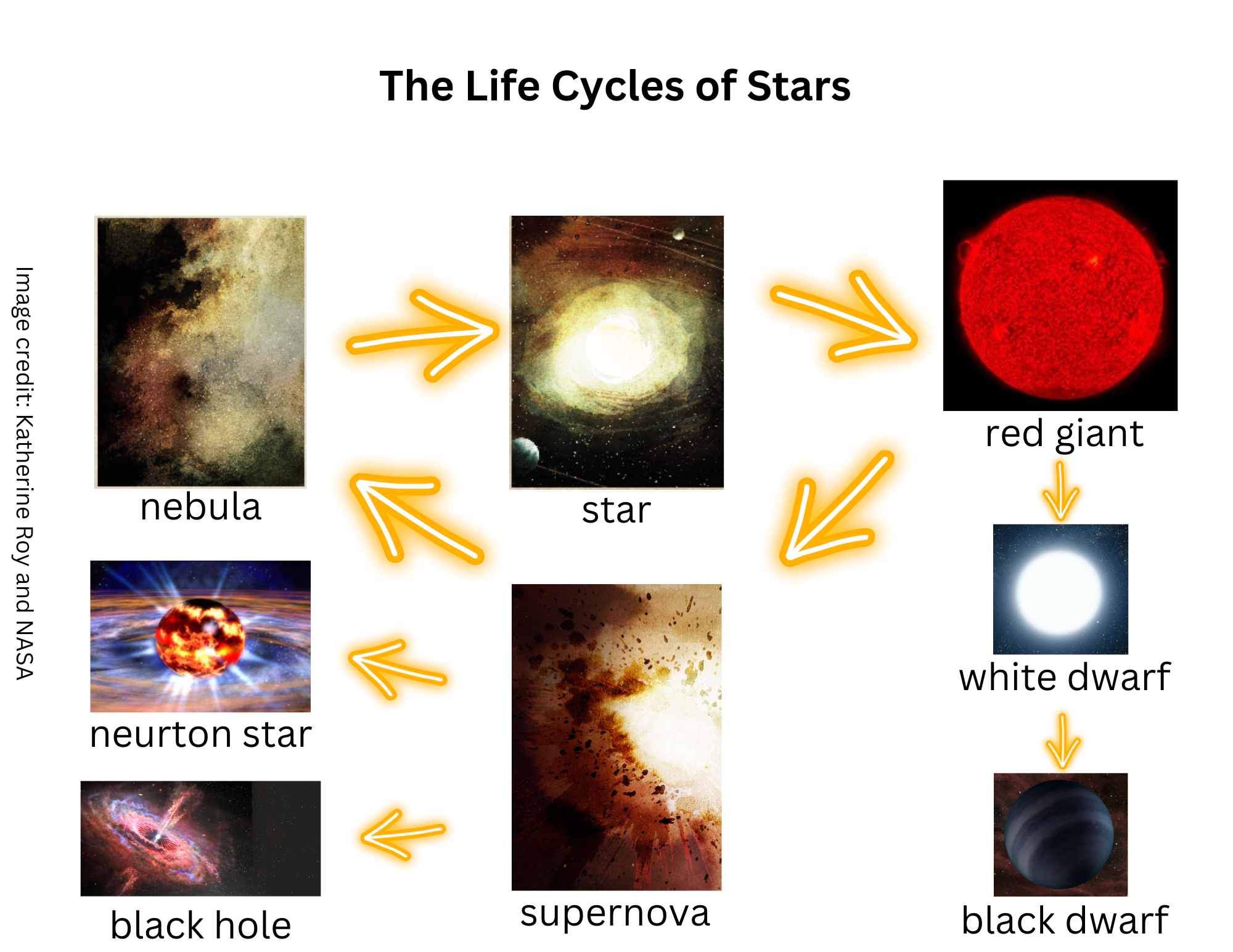 Life Cycle of the Stars Worksheet: Download and Print Star Guide