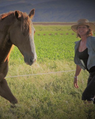 Find Emotional Wellness: Life Therapies in Wellington, CO