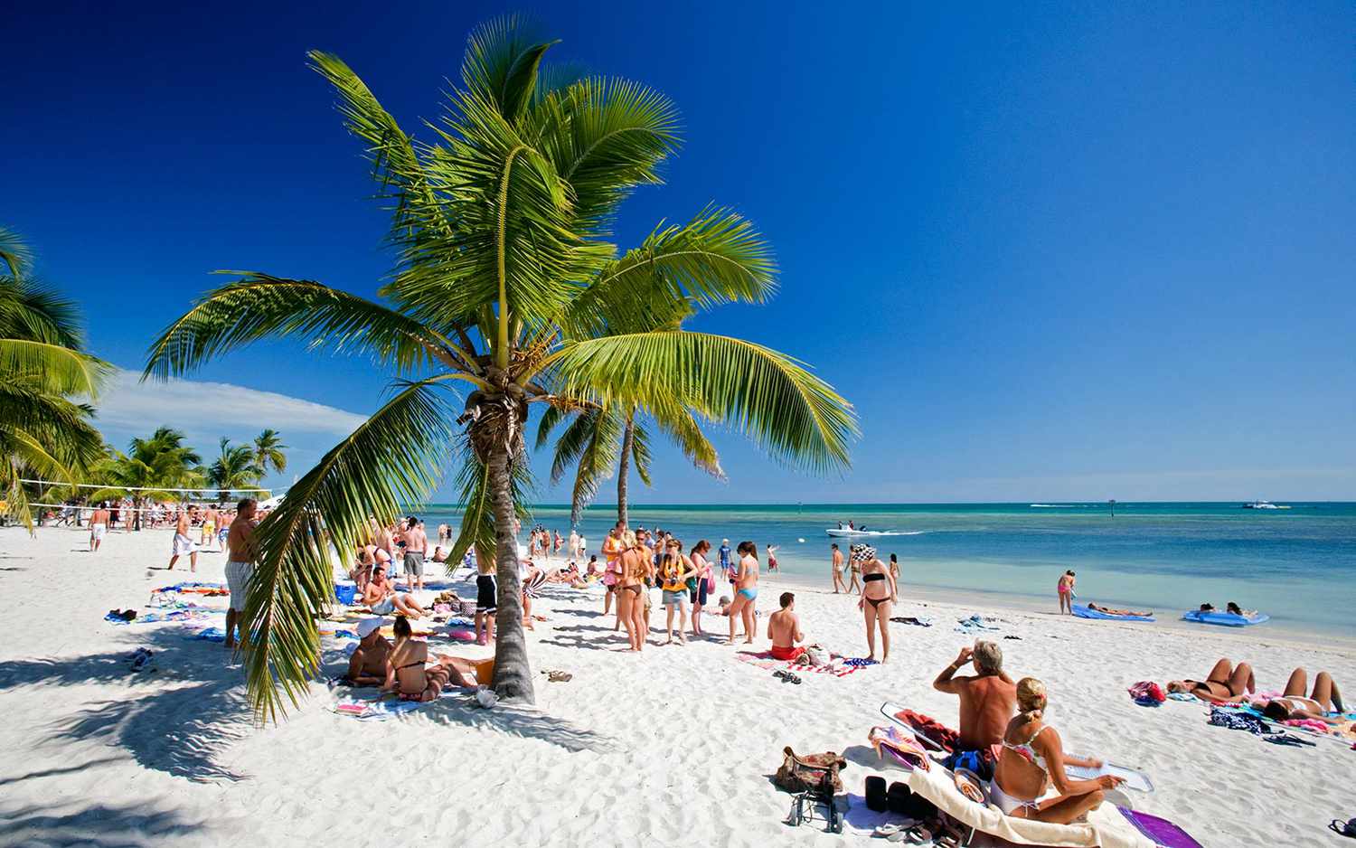 Escape the Cold: Warmest US Destination in February Revealed