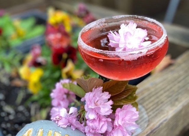 Cocktails and Creativity: Where Imagination Life Blossoms