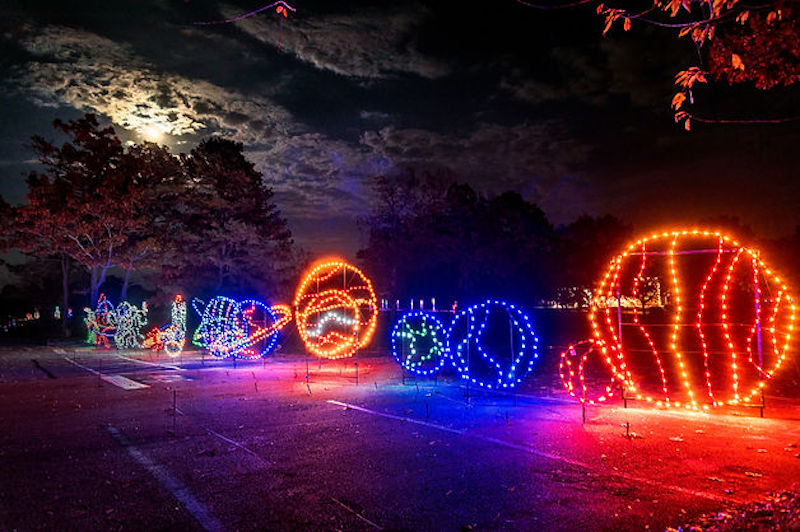 Splish Splash Light Show Tickets: Where to Buy Them? (Best Place to Purchase the Splish Splash Light Show Tickets)