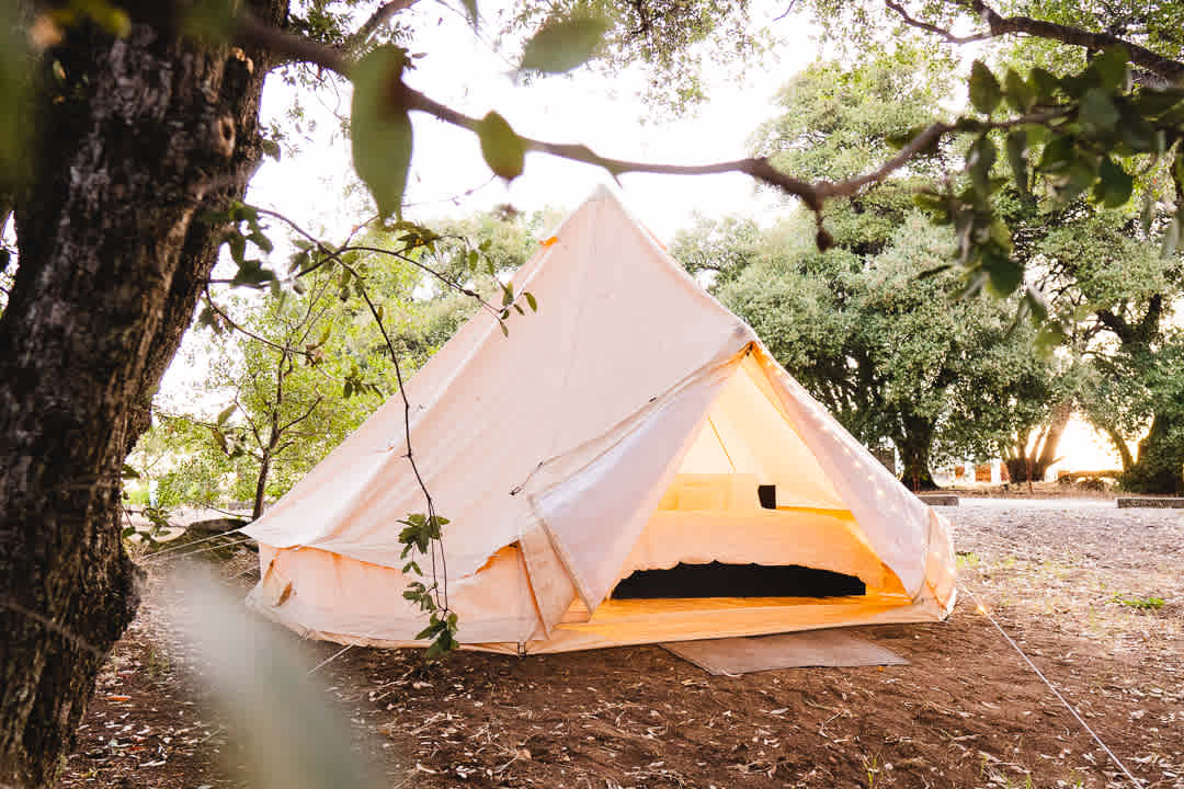 Glamping Sea Ranch: Discover the Best Spots for a Luxurious Beach Vacation.