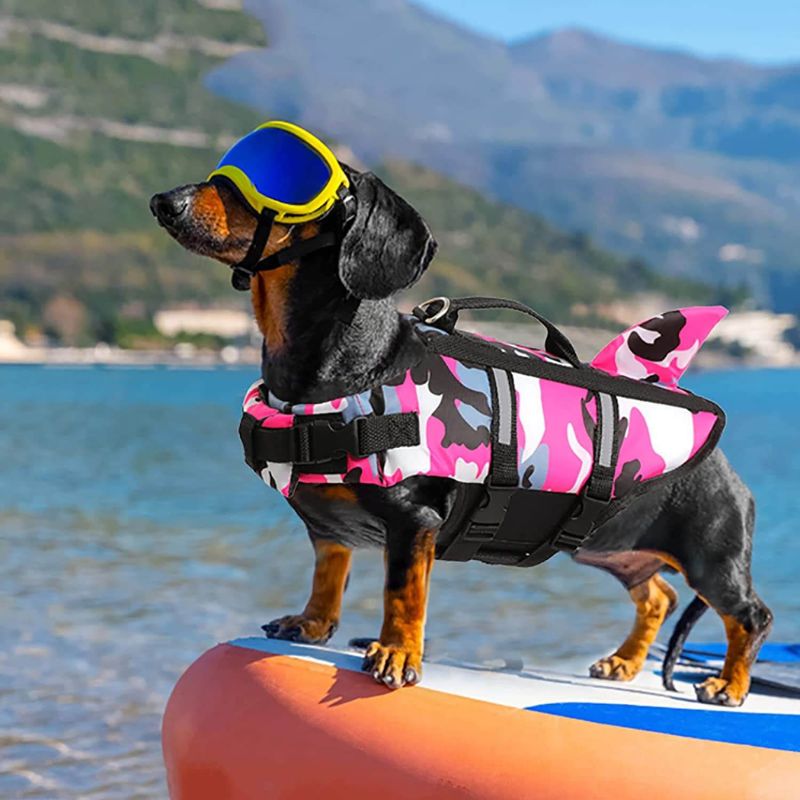 Keep Your Doxie Safe: Best Dachshund Life Jackets for Water Fun