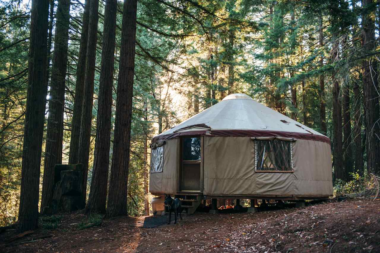 Glamping Sea Ranch: Discover the Best Spots for a Luxurious Beach Vacation.