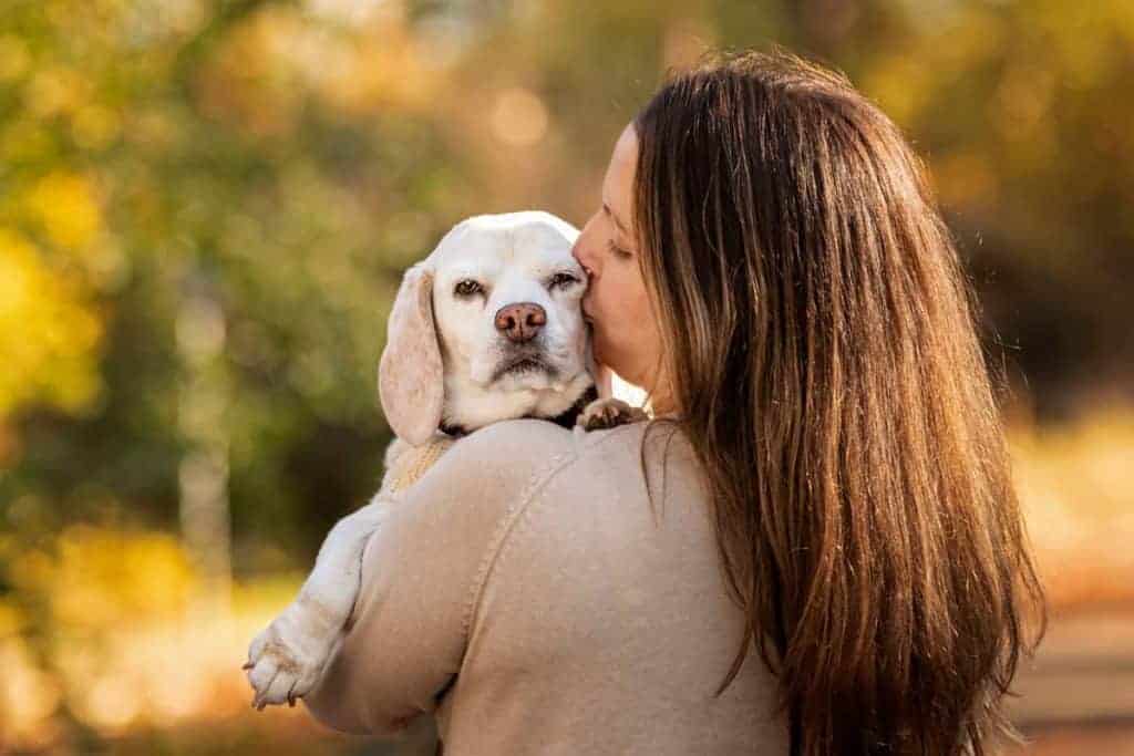 End of Life Dog Photography: How to Cherish Your Pets Final Days