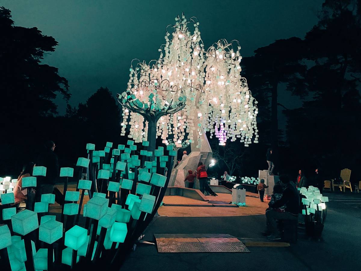 Light Installation Golden Gate Park: A Simple Guide on How to Get There and Enjoy the Show
