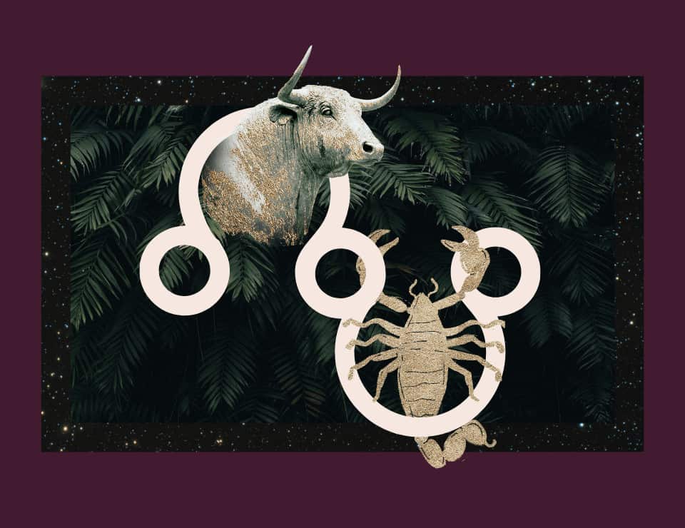 Taurus South Node, Scorpio North Node: Time to Let Go and Transform