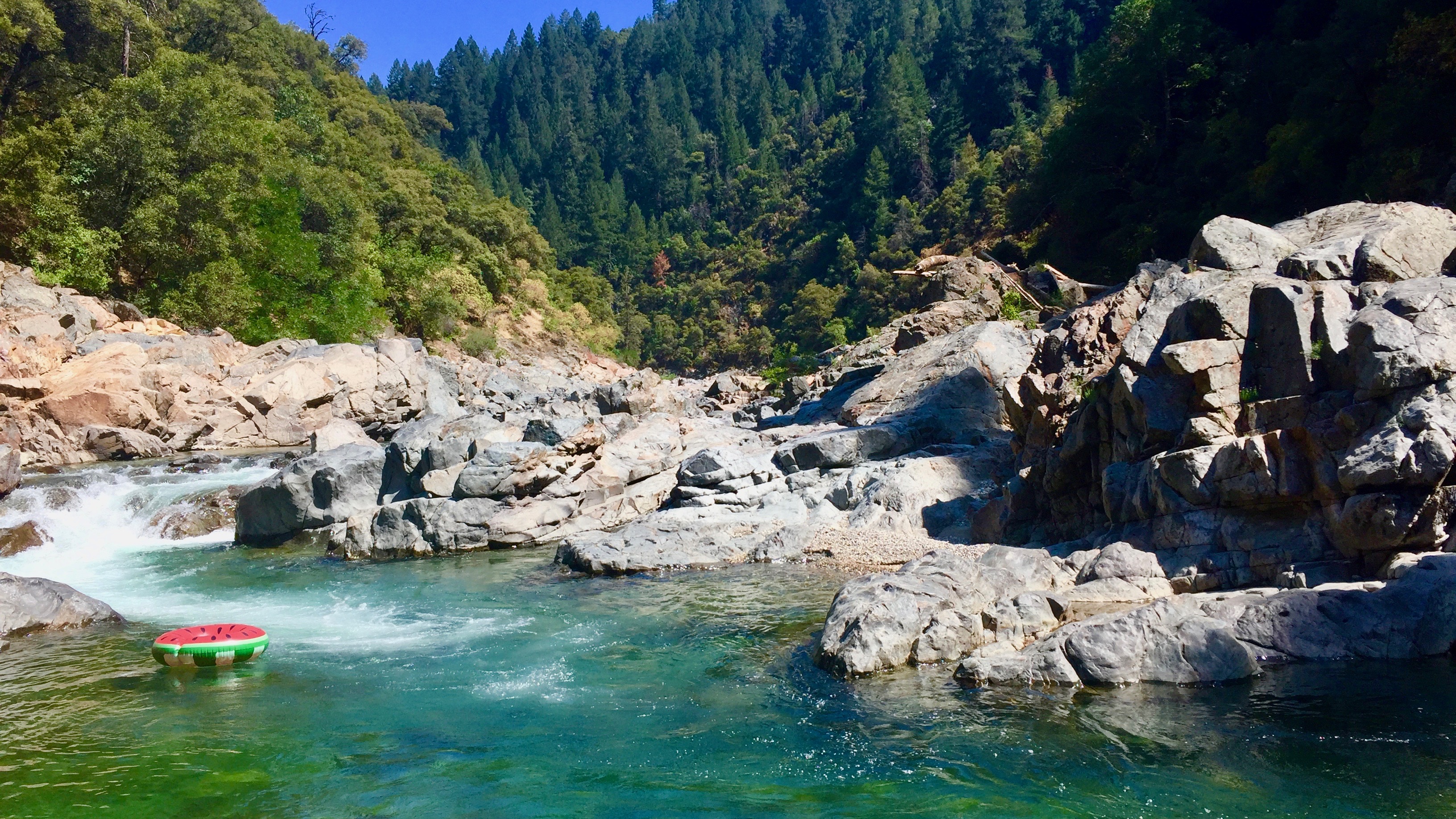 Best Swimming Holes in the Bay Area? (Check Out These Local Favorites for Summer Fun)