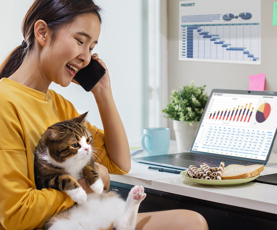Going back to work? Discover how to keep a cat entertained while at work.