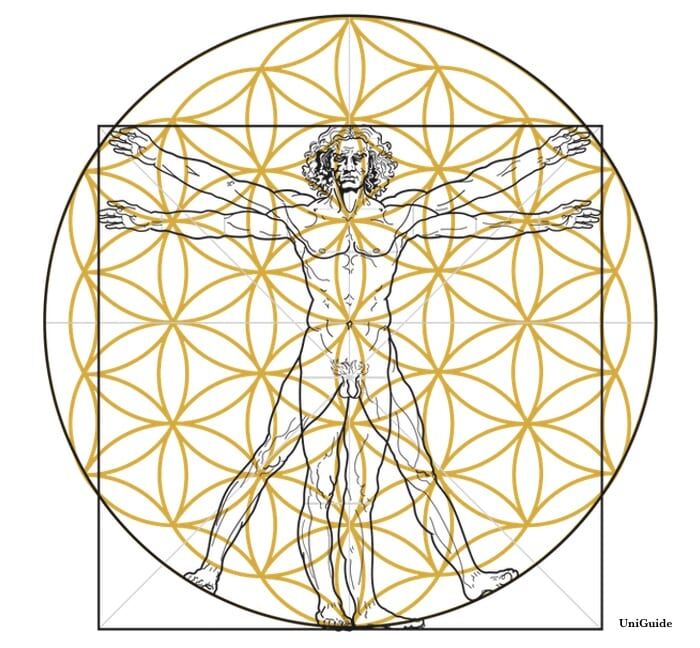 Explore the Tree of Life and Flower of Life: Easy Explanation