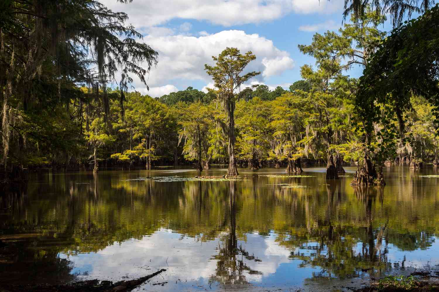 Most Beautiful Places in East Texas: Check Out These Hidden Gems!